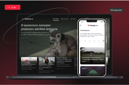 Flexible design for regional media